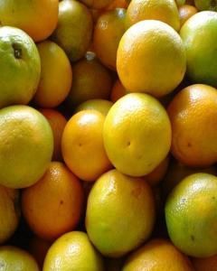 Laranja Pêra-rio
