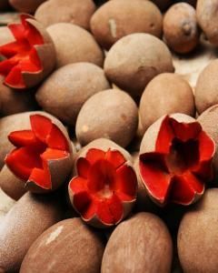 Mamey