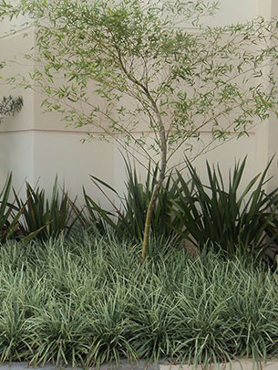 Jardinagem
