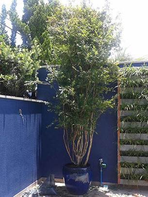 Jardinagem