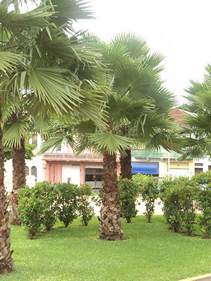 Jardinagem